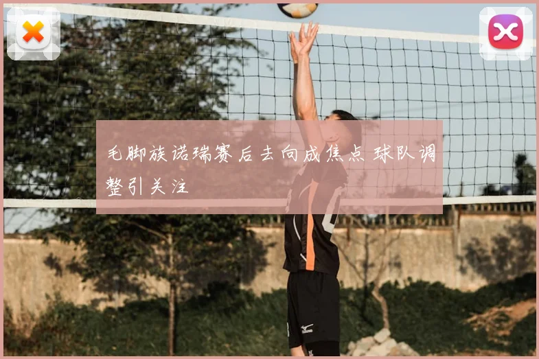 毛脚族诺瑞赛后去向成焦点 球队调整引关注