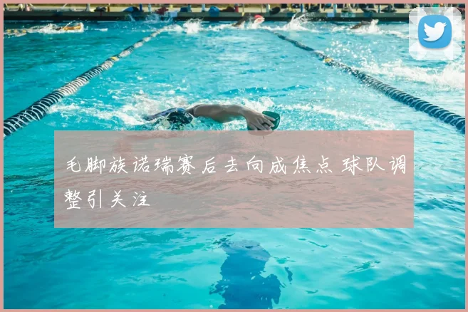 毛脚族诺瑞赛后去向成焦点 球队调整引关注