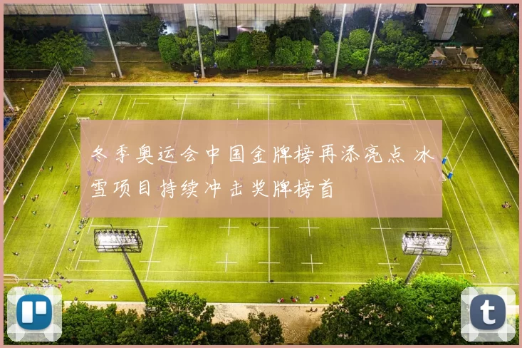冬季奥运会中国金牌榜再添亮点 冰雪项目持续冲击奖牌榜首