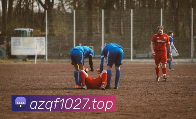 开云(中国)Kaiyun·官方网站 - 登录入口平台生态图