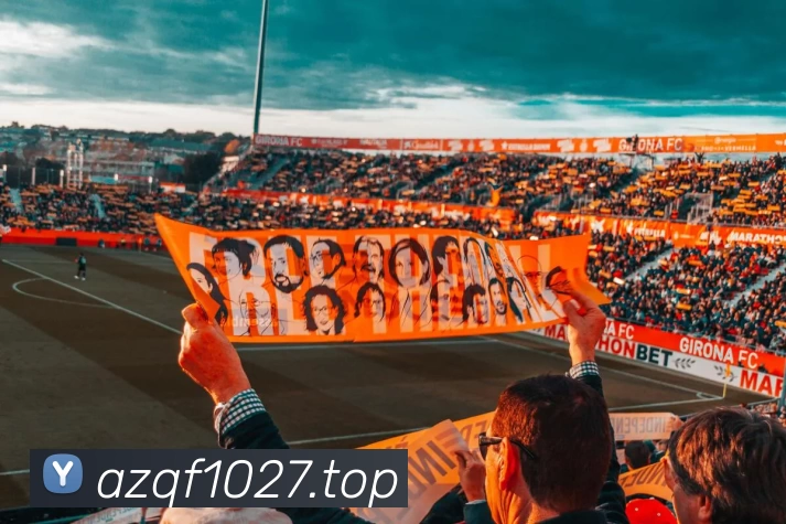 App Interface Preview